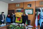 جشنواره های فرهنگی، هنری خراسان جنوبی در فجر ۴۳ انقلاب اسلامی