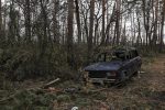 (تصاویر) جنگل‌های اوکراین نیز از حملات روسیه در امان نماند