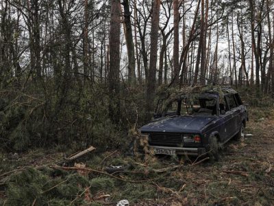 (تصاویر) جنگل‌های اوکراین نیز از حملات روسیه در امان نماند