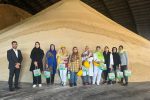 بانوان گردشگر به پایتخت شکر ایران آمدند