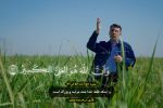تلاوت دلنشین قرآن توسط قاری برجسته در جوار مزارع نیشکر